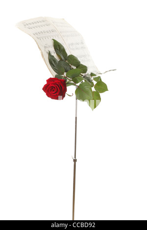 rote Rosen und alten Hinweis Notizen lieben weißen Hintergrundmusik Stockfoto