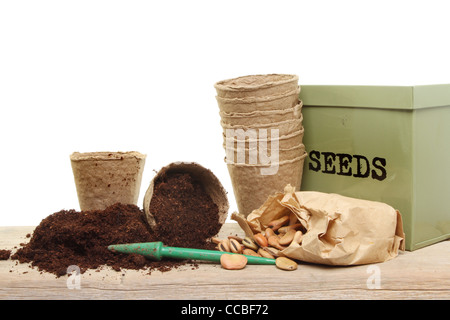 Saubohne Samen zu Pflanzen in Töpfen auf eine Pottingbank bereit Stockfoto
