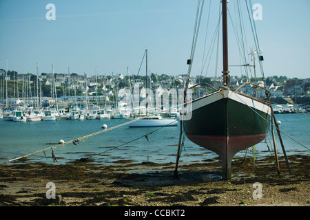 Boote in der Marina, Camaret-Sur-Mer, FinistÅre, Bretagne, Frankreich Stockfoto