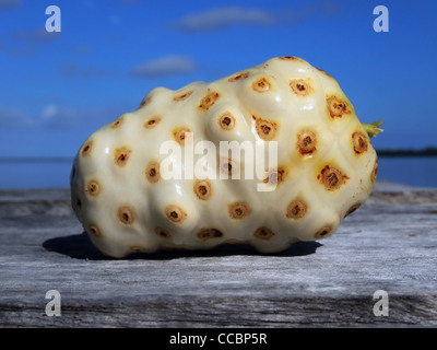 Frucht des Noni auf einem Holzbrett im Freien Stockfoto