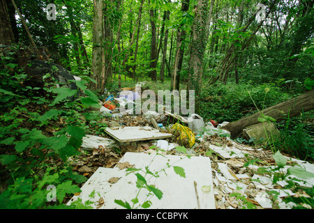 Müll in den Wald geworfen Stockfoto