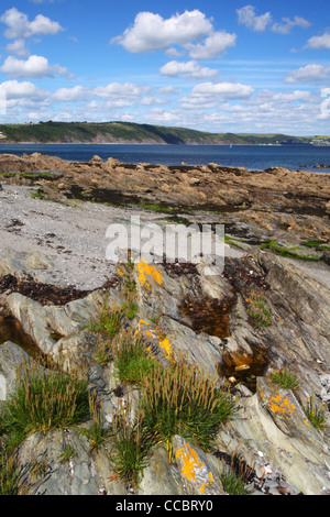 Blick vom Hannafore Punkt in Richtung Looe, Cornwall, Vereinigtes Königreich Stockfoto