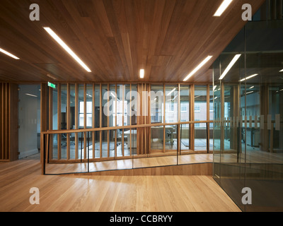 DUBLIN DENTAL HOSPITAL, TCD, DUBLIN, IRLAND, 2010 Stockfoto