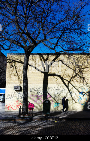 18. Januar 2012: Ein Baum wirft einen Schatten an der Wand eines Wohnhauses im West Village in New York City, USA. Stockfoto