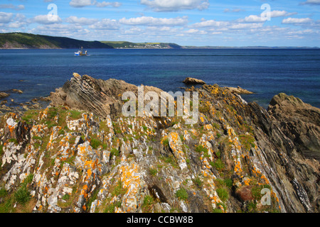 Blick vom Hannafore Punkt in Richtung Looe, Cornwall, Vereinigtes Königreich Stockfoto