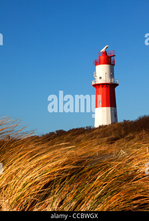 kleiner Leuchtturm auf der südlichen Strand Borkum, Dünengras im Vordergrund Stockfoto