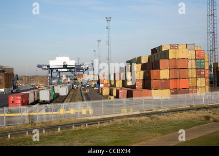 Rail Freight terminal Hafen Felixstowe Suffolk England Stockfoto