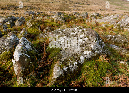 Granitfelsen oder Clitter am Hang oberhalb des Flusses West Okement, Dartmoor. Stockfoto