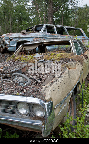 Auto-Friedhof. Hoffnung. Alaska. USA Stockfoto