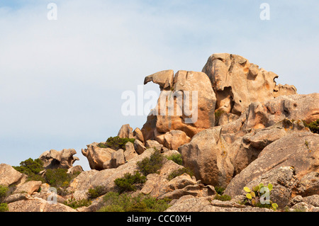 Landschaft, La Maddalena, Olbia - Tempio Bezirk, Sardinien, Italien, Europa Stockfoto