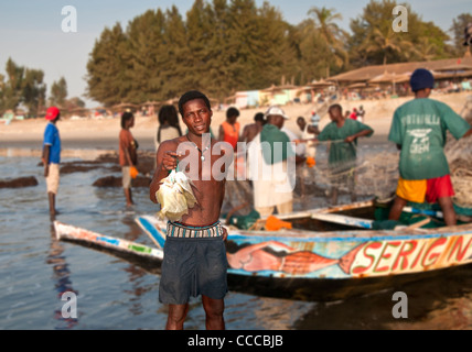 Gambische Fischer mit Fang von Angelfish mit dem Boot auf Kololi Beach in der Nähe von Serekunda, Gambia, Westafrika Stockfoto