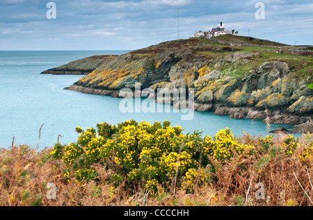 Zeigen Sie Lynas Leuchtturm in der Nähe von Amlwch, Anglesey, North Wales, UK Stockfoto