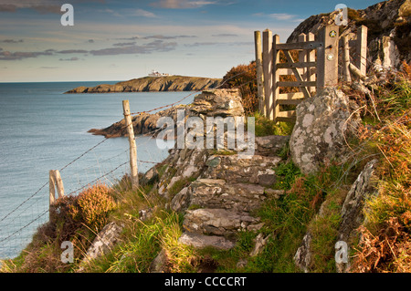 Anglesey Küstenweg & Lynas Point Leuchtturm in der Nähe von Amlwch, Anglesey, North Wales, UK Stockfoto