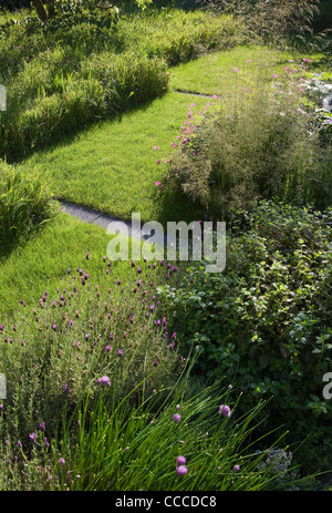 3a Hampstead Lane, Duggan Morris Architects, außen, mit Landschaftsgarten und Details der Pflanzen Stockfoto