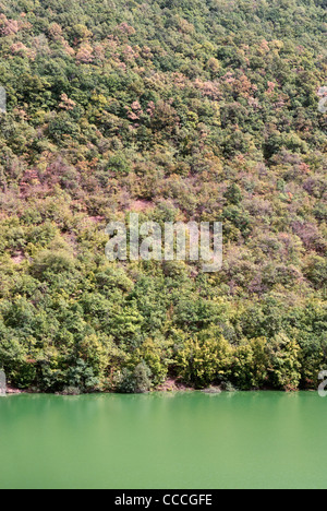 Detail Nahaufnahme von schwarzen Drim Fluß im MAvrovo Nationalpark, Mazedonien Stockfoto