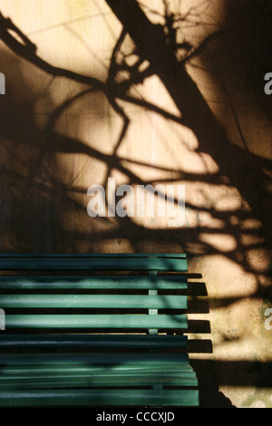 eine leere grüne Bank im Park in Wald, inmitten Natur Stockfoto