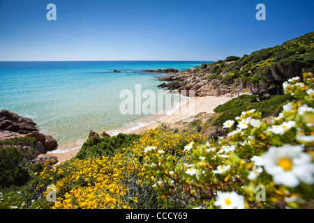 Chia-Strand, Monte Cogoni, Campana, Chia, Domus De Maria (CA), Sardinien, Italien, Europa Stockfoto