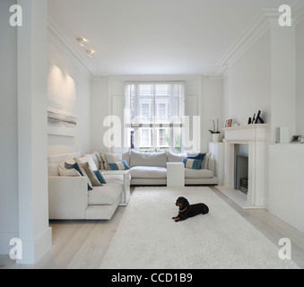 PRIVATHAUS, BUCKLEY GRAUEN YEOMAN, LONDON, 2010, WOHNZIMMER MIT HUND Stockfoto