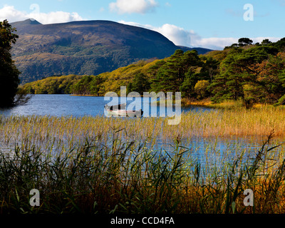 Purple Mountain über Muckross Lake, Muckross, Killarney Co. Kerry. Stockfoto