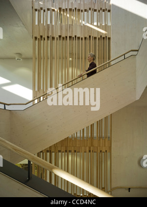 DIE WOODLAND TRUST HQ FEILDEN CLEGG BRADLEY STUDIOS GRANTHAM NOV 2010 TREPPE DETAIL MIT ROHEM HOLZ LAMELLEN Stockfoto