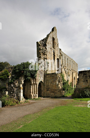 Jervaulx Abbey Ruinen, Yorkshire, North Riding Stockfoto