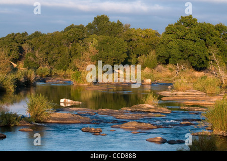 Wasserloch, Kruger Nationalpark, Mpumalanga, Südafrika Stockfoto