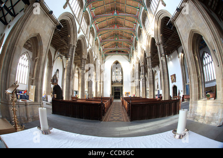 Innenraum der St. Cuthbert Parish Church, Wells, Somerset, England. Stockfoto