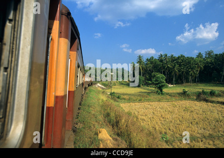 Trainieren Sie Intercity Express Kandy-Colombo in Sri Lanka Reisfelder Landschaft laufen Stockfoto