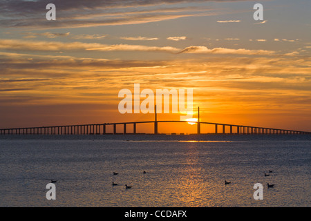 Sonnenaufgang über Bob Graham Sunshine Skyway Bridge eine Schrägseilbrücke über Tampa Bay, Florida, Stockfoto