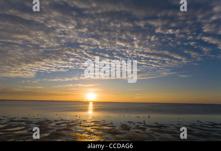 Sonnenaufgang über Bob Graham Sunshine Skyway Bridge eine Schrägseilbrücke über Tampa Bay, Florida, Stockfoto