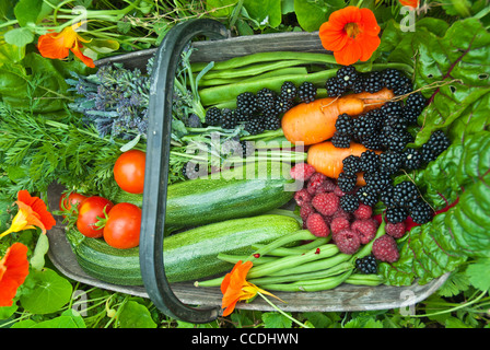 Untersetzer / Korb der Zuteilung zu produzieren. Nach Hause angebauten Bohnen Karotten, Brombeeren Zucchini / Zucchini Himbeeren auf Kapuzinerkresse. Stockfoto