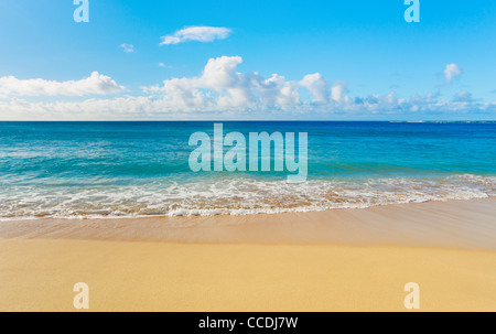 Strand und das tropische Meer Stockfoto