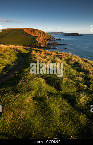 Der South West Coast Path zwischen Westcome Bay und Ayrmer Cove in Devon blickte zurück. Stockfoto