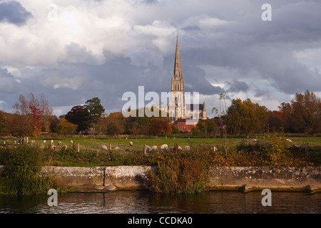 Blick über den Fluß Nadder in der Nähe der alten Mühle in Harnham, Salisbury. Eine klassische Ansicht von Str. Marys Kathedrale. Stockfoto