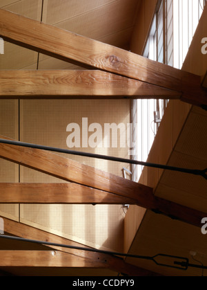 Detail, Fachwerk, Akustikdecke, Dach Licht Stockfoto