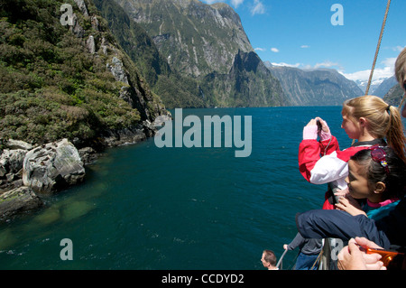 Passagiere auf einer Kreuzfahrt genießen Sie fotografieren Robben sonnen sich ein Fels im Milford Sound Stockfoto