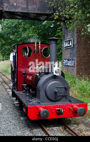 Kleine Schiefer-Bergbau Dampflokomotive "Maid Marian" auf der Bala Lake Railway, North Wales. Stockfoto