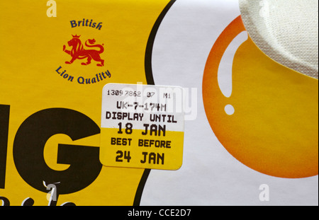 British Lion Qualitätszeichen und Display bis und MHD-Aufkleber auf dem Karton Eier Stockfoto