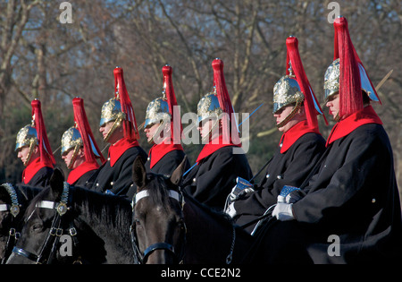 Close-up sieben Gardisten auf dem Pferd Horse Guards Parade London England Stockfoto