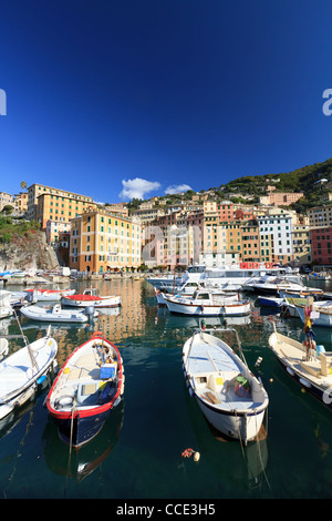 kleiner Hafen in Camogli, berühmten antiken Städtchen in Ligurien, Italien Stockfoto