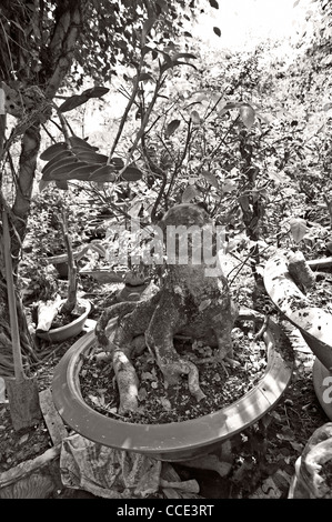 terreau pour bonsai Terreau bio pour bonsa 1,5 L  Substrat bio  triple drainage  i Giardini  di Giulia
