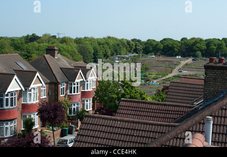 Gesamtansicht der Gärten und Kleingärten in London sehen vom Dach eines Hauses. Stockfoto