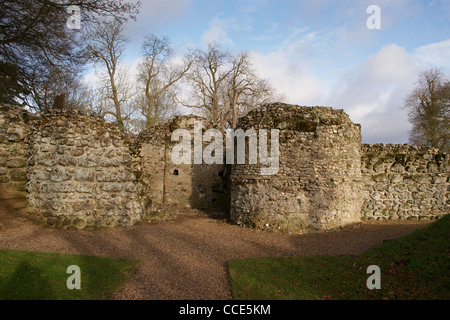 Ruinen von Nord Elmham Norman Chapel, Norfolk, England Stockfoto