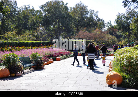 Dallas Arboretum, Texas, USA Stockfoto