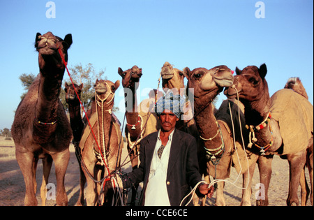 Ein Mann geht in eine lokale Messe, seine Dromedare (Indien) zu verkaufen Stockfoto