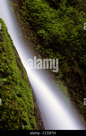 Schachtelhalm fällt entlang der Columbia River Gorge Bereich Waldkulisse mit üppigen Grüns Oregon State USA Stockfoto