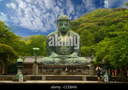 Der große Buddha (Daibutsu) aus Gründen der Kotokuin-Tempel in Kamakura, Japan. Stockfoto