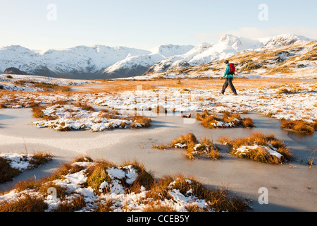 Eine Frau fiel Walker auf Silber Howe, mit Blick auf die Langdale Pikes im Lake District, UK. Stockfoto