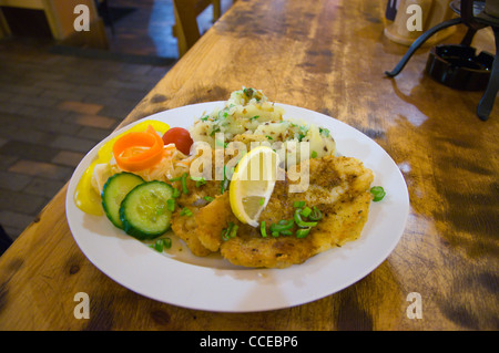 Gebratener Fisch und Kartoffelpüree in eine zentrale Frantiskovy Lazne Stadt westlichen Böhmen Restaurantbereich Tschechische Republik Europa Stockfoto