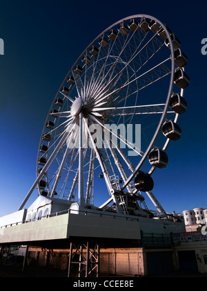 Brighton Wheel - Riesenrad (das Brighton Auge) am Strand Stockfoto